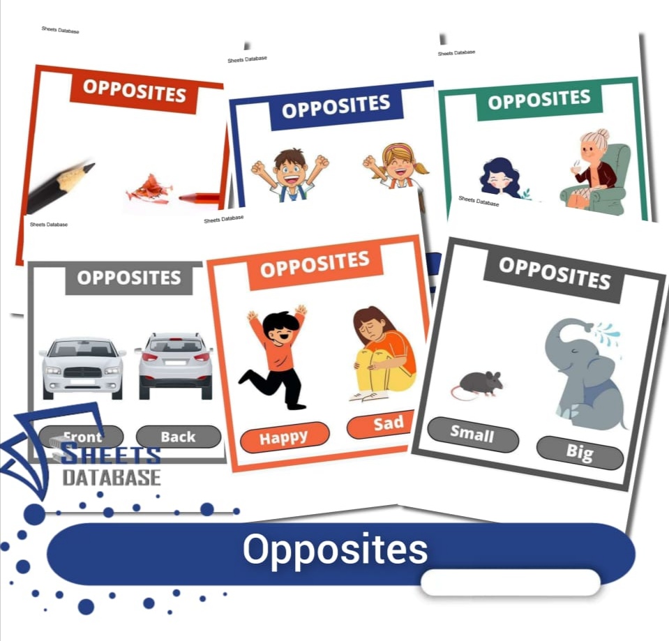 IMG_٢٠٢٢١٢٢٥_١٩٣٠٣٩