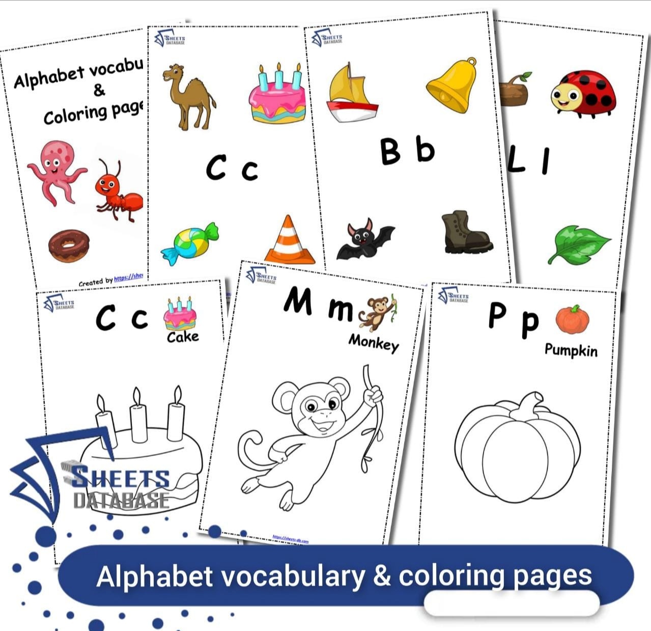 IMG_٢٠٢٣٠١١٠_١٧٢٢٤٩