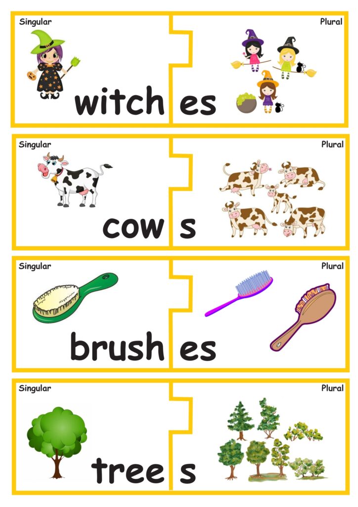 Singular and plural word puzzles Sheets