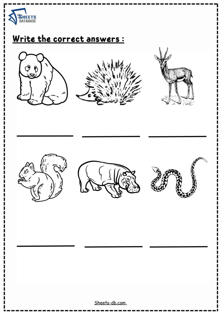 wild-animals-worksheets-sheets