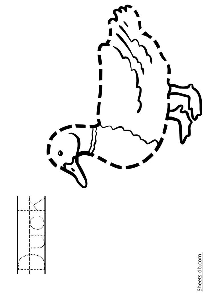 Animals tracing and coloring worksheets Sheets